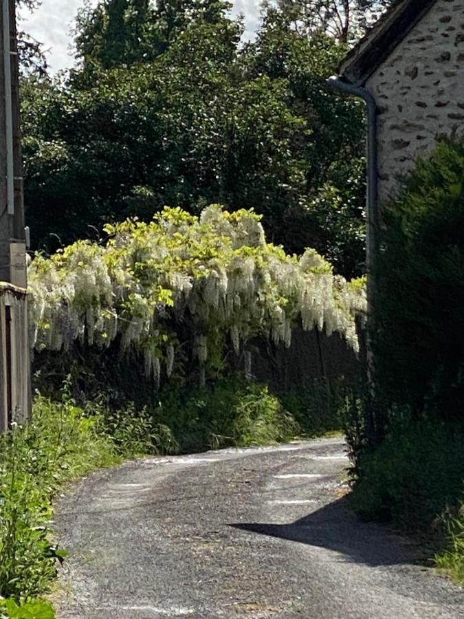 Le Moulin Bleu Bed & Breakfast Saint Cyr-sous-Dourdan Exterior photo